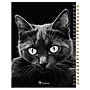 2026 TF Publishing Pretty Kitty 6.5" x 8" Weekly & Monthly, Paperboard Cover, Multicolored (26-9212)~#|#~7E9BA3E8-F4A7-4AFE-89ECDC3C034CDF91_sc7