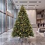 Safavieh 7.5 ft. Pre-Lit Artificial Christmas Tree, 600 Lights, Green (FXP2015A)~#|#~7EAE5359-B10F-43EA-A6CB5927499D4998_sc7