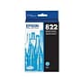 Epson T822 Cyan Standard Yield Ink Cartridge (T822220-S)~#|#~7EB0442C-1E40-4B55-956DA29338CDAE7E_sc7