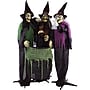 Haunted Hill Farm Animatronic Witches with Cauldron (HHWITCH-15FLS)~#|#~7EEFA02D-51CE-407D-96BADCF3D9AF65C6_sc7