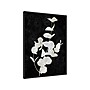 Amanti Art Plant Life White on Black I, Canvas, 23" x 30" (A42675515275)~#|#~7F158332-382F-46DB-8B2F7AA6D9637953_sc7