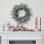 Nearly Natural 24-in Flocked Artificial Christmas Wreath with 50 LED Lights (W1128)~#|#~7F166B22-A568-4F3C-9EE55ECC2B3E6550_sc7