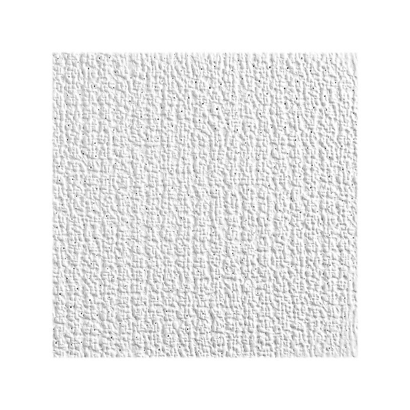 Armstrong SHASTA Square Lay-In Edge Ceiling Tile, 24" x 48", White, 16/Carton (BP2906) image 1
