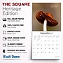 2027 BrownTrout Magic Mushrooms 12" x 12" Monthly Wall Calendar (9798330714025)~#|#~7F31D2C8-28F8-4F51-A3AFD6CFBCDA82A6_sc7