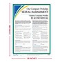 ComplyRight Sexual Harassment Poster, Bilingual, 18" x 24" (Q0040)~#|#~7F4D3998-9A56-4422-A986A83572D3462F_sc7