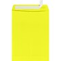 LUX Open End Kraft Envelopes 9" x 12", Citrus Yellow (LUX-1590-L20-1M)~#|#~7F50247A-AEC0-4B93-9EE250D3025251FA_sc7