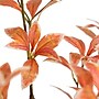 Nearly Natural 4.5' Autumn Pieris Artificial Fall Tree (T4737)~#|#~7F55EFAF-7285-4DEC-91D5E2C19CC97E4C_sc7