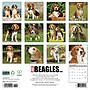 2026 Willow Creek Beagles 12" x 12" Monthly Wall Calendar (50156)~#|#~7F5BF18C-D977-4ED8-805FFE6F88661F77_sc7