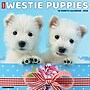 2026 Willow Creek Westie Puppies 12" x 12" Monthly Wall Calendar (53126)~#|#~7F5D02CD-ABFD-4B89-9BF7A005CCC0E78D_sc7