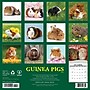 2026 Willow Creek Guinea Pigs 12" x 12" Monthly Wall Calendar (51405)~#|#~7F685F2C-1556-4B18-A9172DFDC7721630_sc7