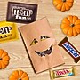 Mars Assorted Milk Chocolate Halloween Candy Variety Pack, 30.94 oz., 55 Pieces/Bag (MMM59975)~#|#~7F821A59-8163-4582-9F2D93EF908D4127_sc7