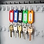 Barska 50 Key Multi-Purpose Key Tags, Assorted Colors (AF12496)~#|#~7F914685-A93D-4D21-8BB70284FAD40B90_sc7