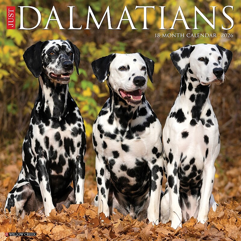 2026 Willow Creek Dalmatians 12" x 12" Monthly Wall Calendar (50958) image 1