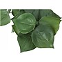Monarch Specialties Inc. Alocasias in Pots, 2/Pack (I 9582)~#|#~7F9F7C8A-9663-4D86-808AF754EE0EBAE4_sc7