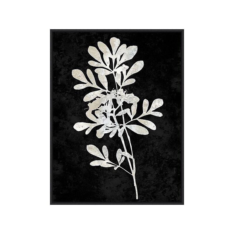 Amanti Art Plant Life White on Black II, Canvas, 23" x 30" (A42675515283) image 1