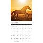 2026 Willow Creek What Horses Teach Us 12" x 12" Monthly Wall Calendar (53195)~#|#~7FC6194D-BF69-428C-9DFE2F4819B775EE_sc7