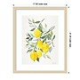 Amanti Art Lemon Citrus by Patricia Shaw Wood Framed Wall Art Print, 17" x 21" (A42675506061)~#|#~7FCAF91A-B132-421C-903A6786B92DDD8B_sc7