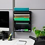 Mind Reader 5-Compartment Mountable Plastic Vertical File Storage, Black (WALLANCH-BLK)~#|#~7FE144E0-CE7E-4DF6-9EC1AA0E68343B12_sc7