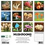 2027 Willow Creek Mushrooms 12" x 12" Monthly Wall Calendar, Assorted Colors (61374)~#|#~7FFB0321-E39A-444B-95263CB139276F46_sc7