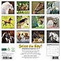 2026 Willow Creek Seize the Hay 12" x 12" Monthly Wall Calendar (52730)~#|#~80087496-EDD7-439A-BFB8A807594C7C93_sc7