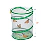 Insect Lore Products Animal Study, Live Butterfly Garden Kit (ILP1010)~#|#~800AFF7E-8FD9-4788-995E5C7659A315FF_sc7