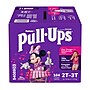 Huggies Pull-Ups Potty Training Pants, Girls 2T-3T, 104/Carton (54098)~#|#~804BE9F5-5A02-4340-905DDDEF3961BE29_sc7