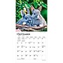 2027 BrownTrout Honey Bunny 7" x 7" Monthly Wall Calendar (9798330709809)~#|#~804DFABD-C305-4418-88C05A29F989931F_sc7