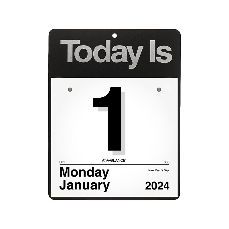 2024 AT-A-GLANCE Today Is 9.5" x 12" Daily Wall Calendar White/Black (K4-00-24) image 1