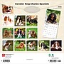 2026 BrownTrout Cavalier King Charles Spaniels 12" x 12" Monthly Wall Calendar (9798330702824)~#|#~806D3CBF-2AE0-4FCE-8613C5D475EBAFD0_sc7