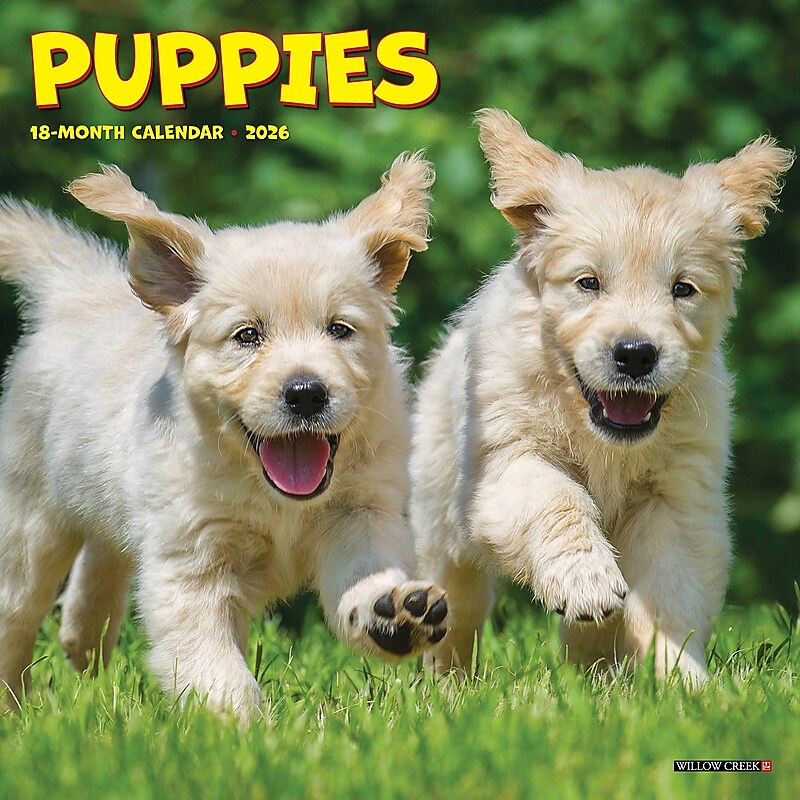 2026 Willow Creek Puppies 7" x 7" Monthly Wall Calendar (53737) image 1