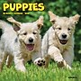 2026 Willow Creek Puppies 7" x 7" Monthly Wall Calendar (53737)~#|#~806DAA09-A12F-42E1-81DC04BEE68A638D_sc7