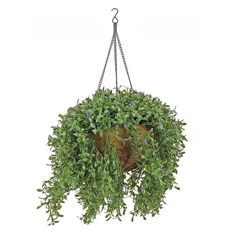 National Tree Company 18" Hanging Argentea Plant (LAR8-702-18HU-1) image 1