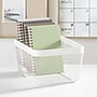 mDesign Steel Organizer, Matte White (25958)~#|#~807D6079-A1B3-49B7-AA15614070755F1A_sc7