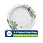 Dixie Pathways 8.5" Paper Plates, Multicolored, 125 Plates/Pack (UX9PATH)~#|#~808E2EE4-F19D-42B1-ABB948BBAF313A30_sc7