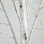 Nearly Natural 8-ft Pre-Lit Artificial White Birch Tree with 500 Warm White LED Lights (T4912)~#|#~808F008A-A430-4C22-91EC4E56B1065AA8_sc7