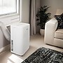 Whirlpool 115-Volt 14,000 BTU Portable Air Conditioner with Remote, White (WHNP141AW)~#|#~80900EB4-D6D5-4592-A9E3044754E1F8FB_sc7