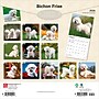 2026 BrownTrout Bichon Frise 12" x 12" Monthly Wall Calendar (9798330702411)~#|#~80BC986B-AE36-4DF4-A65FB7B694AA0AEE_sc7