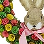 National Tree Company 16" Floral Wreath with Bunny Head Center (EG79-21MD105-1)~#|#~80BEA286-8783-4456-B3EE70E3B617EF30_sc7
