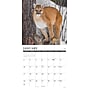 2027 Willow Creek Northwoods Wildlife  12" x 12" Monthly Wall Calendar (61541)~#|#~80CB88A8-9317-4E5D-9F9058AF6EA00072_sc7