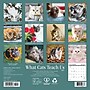 2027 Willow Creek What Cats Teach Us 7" x 7" Monthly Wall Calendar (64276)~#|#~80CD222E-5484-48C7-86718D553D13A345_sc7