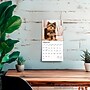 2026 BrownTrout Yorkshire Terrier Puppies 7" x 7" Monthly Wall Calendar (9798330706433)~#|#~80E87DAE-2CF4-42FD-A805712D8AD3D820_sc7