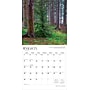 2026 BrownTrout Pennsylvania Wild & Scenic 12" x 12" Monthly Wall Calendar (9798330705115)~#|#~810B003A-2213-4099-A988A4CC5A346620_sc7