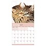 2027 TF Publishing Cat Dreams 12" x 12" Monthly Wall Calendar (27-1003)~#|#~810B5A16-9DDE-48B0-95FB85B0202A71A1_sc7