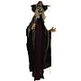 Haunted Hill Farm Life-Size Poseable Witch (HHWITCH-27FLSA)~#|#~81284144-7282-4EFB-B803AC7EFF51AF60_sc7