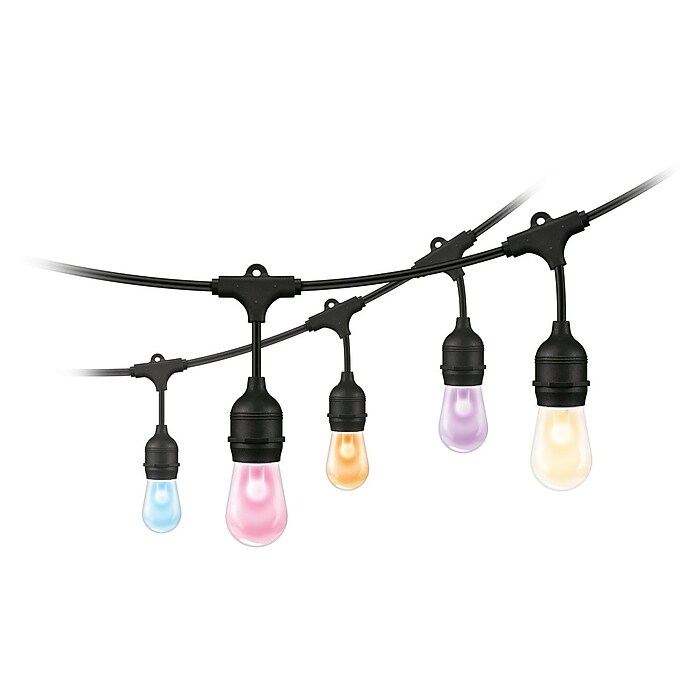 Free! SPOT LIGHT COLOR Set 岩鳶セット Free! SPOTLIGHTCOLORSet 岩鳶セット Free! SPOT LIGHT COLOR Set 岩鳶
