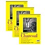 Strathmore 300 Series 9" x 12" Wire Bound Charcoal Sketch Pad, 32 Sheets/Pad, 3/Bundle (STTP33091-3)~#|#~814541BE-F2F7-413D-B2DF0F58DC726271_sc7
