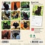 2027 BrownTrout Black Cats 7" x 7" Monthly Wall Calendar, Assorted Colors (9798330709700)~#|#~8156198A-050C-4259-BC1E79A1D7A88E76_sc7