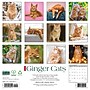 2027 Willow Creek Ginger Cats  12" x 12" Monthly Wall Calendar (60414)~#|#~815735C0-68F3-4BE9-849AA2FC90FAF235_sc7