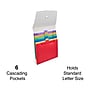 Staples Plastic Accordion File, 6-Pocket, Letter Size, Multicolor (TR51848)~#|#~815875B5-1635-4FB3-8482F7794ADB54C4_sc7