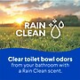 Clorox Disinfecting Toilet Bowl Cleaner with Bleach, Rain Clean Scent, 24 Oz., 2/Pack, 6 Packs/Carton (30924)~#|#~8169B8A1-3739-45BD-91A8313475293E8E_sc7